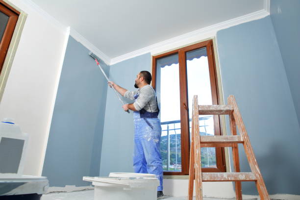 Best Commercial Mold Inspection  in The Pinery, CO