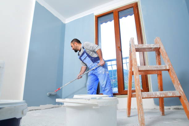 Best Commercial Mold Inspection  in The Pinery, CO
