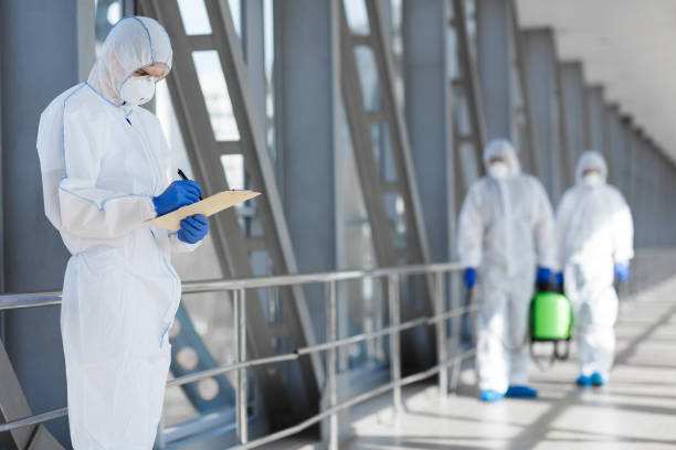 Best Industrial Mold Remediation  in The Pinery, CO
