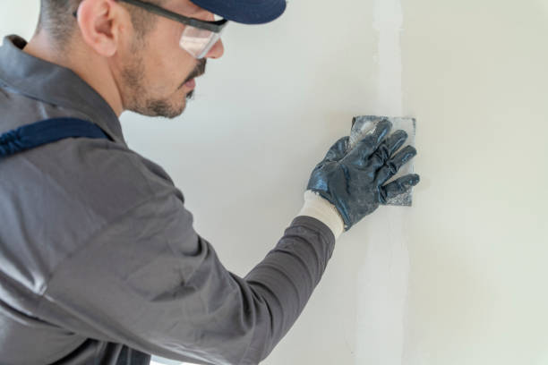 Best Environmental Consulting for Mold Prevention  in The Pinery, CO