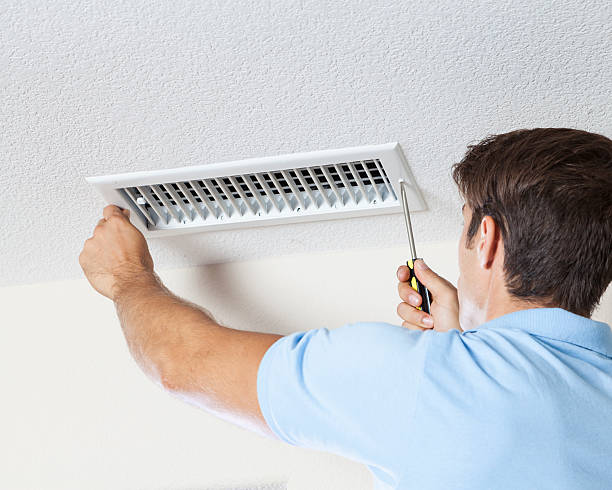 Best Comprehensive Air Testing for Mold Contaminants  in The Pinery, CO