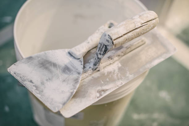 Best Mold Documentation for Insurance Claims  in The Pinery, CO