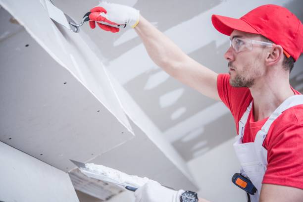 Best Mold Documentation for Insurance Claims  in The Pinery, CO